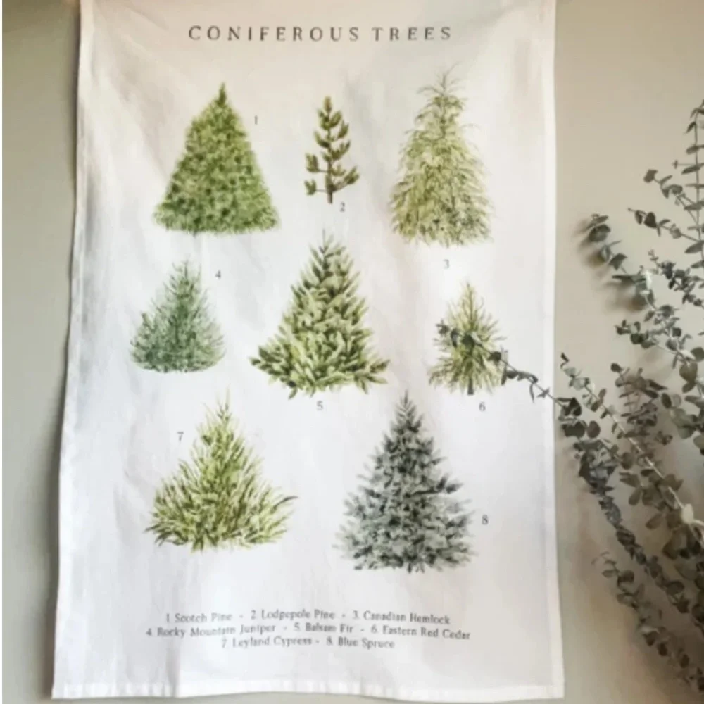 LAST ONE🔥Anthropologie coniferous Evergreen Watercolor‎ Kitchen Tea Towel